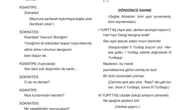 11. Sınıf Gizem Yayınları Türk Dili Ve Edebiyatı Ders Kitabı Sayfa 241 Cevapları