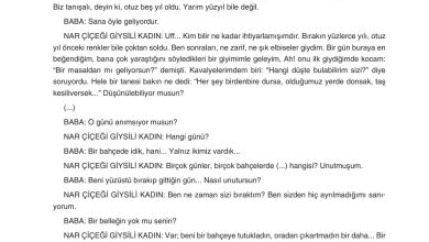 11. Sınıf Gizem Yayınları Türk Dili Ve Edebiyatı Ders Kitabı Sayfa 236 Cevapları