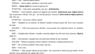 11. Sınıf Gizem Yayınları Türk Dili Ve Edebiyatı Ders Kitabı Sayfa 229 Cevapları