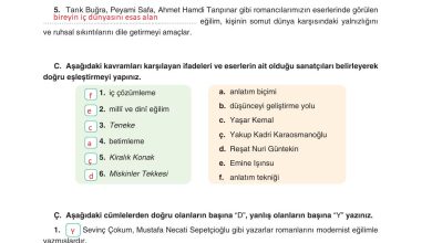 11. Sınıf Gizem Yayınları Türk Dili Ve Edebiyatı Ders Kitabı Sayfa 221 Cevapları