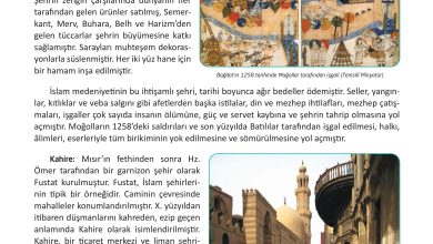 12. Sınıf Meb Yayınları İslam Kültür Ve Medeniyeti Ders Kitabı Sayfa 117 Cevapları