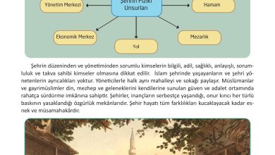 12. Sınıf Meb Yayınları İslam Kültür Ve Medeniyeti Ders Kitabı Sayfa 110 Cevapları