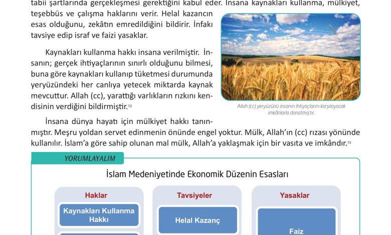 12. Sınıf Meb Yayınları İslam Kültür Ve Medeniyeti Ders Kitabı Sayfa 55 Cevapları