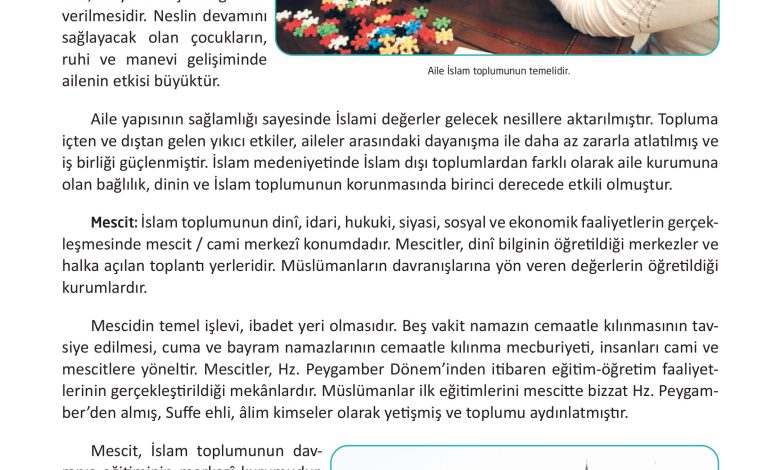 12. Sınıf Meb Yayınları İslam Kültür Ve Medeniyeti Ders Kitabı Sayfa 50 Cevapları