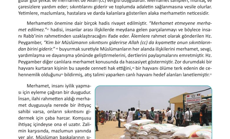 12. Sınıf Meb Yayınları İslam Kültür Ve Medeniyeti Ders Kitabı Sayfa 48 Cevapları