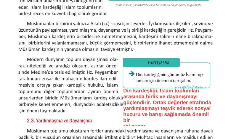 12. Sınıf Meb Yayınları İslam Kültür Ve Medeniyeti Ders Kitabı Sayfa 42 Cevapları