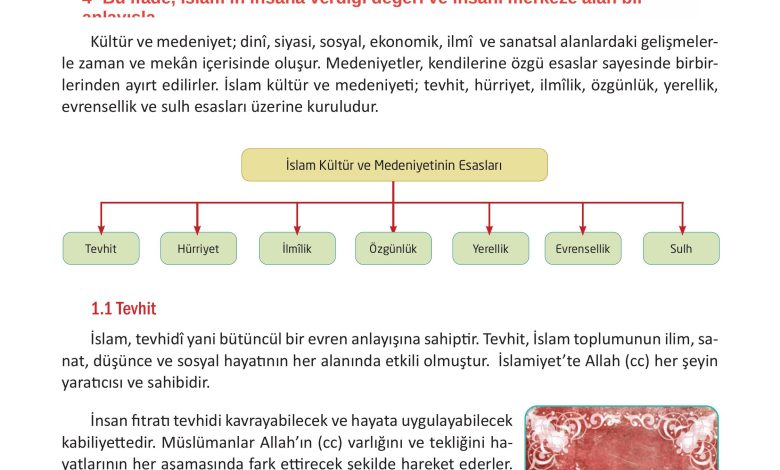 12. Sınıf Meb Yayınları İslam Kültür Ve Medeniyeti Ders Kitabı Sayfa 25 Cevapları