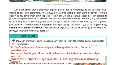 12. Sınıf Meb Yayınları İslam Kültür Ve Medeniyeti Ders Kitabı Sayfa 19 Cevapları