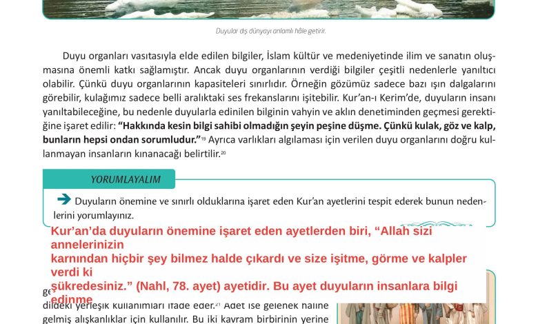 12. Sınıf Meb Yayınları İslam Kültür Ve Medeniyeti Ders Kitabı Sayfa 19 Cevapları