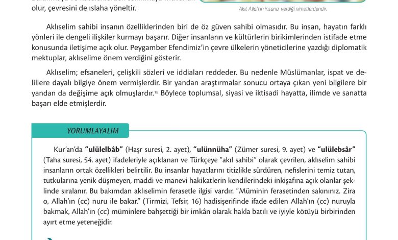 12. Sınıf Meb Yayınları İslam Kültür Ve Medeniyeti Ders Kitabı Sayfa 17 Cevapları