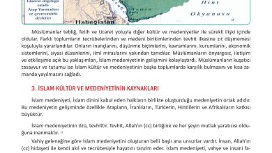 12. Sınıf Meb Yayınları İslam Kültür Ve Medeniyeti Ders Kitabı Sayfa 16 Cevapları