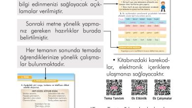 2. Sınıf İlke Yayınları Türkçe Ders Kitabı Sayfa 10 Cevapları