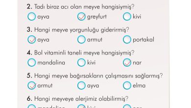 2. Sınıf İlke Yayınları Türkçe Ders Kitabı Sayfa 102 Cevapları