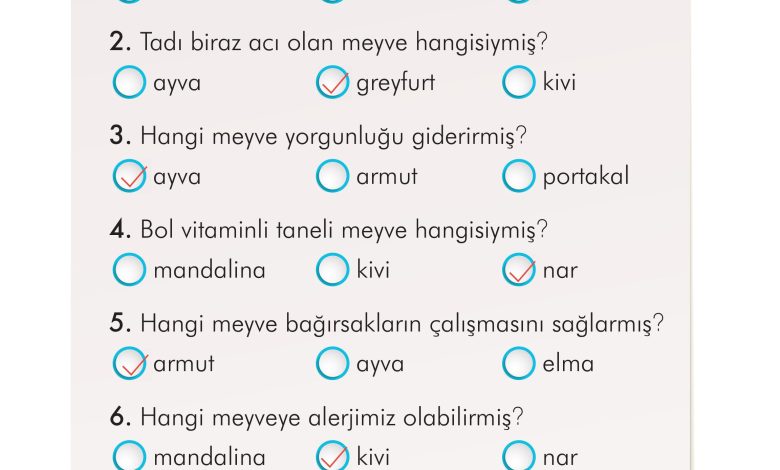 2. Sınıf İlke Yayınları Türkçe Ders Kitabı Sayfa 102 Cevapları