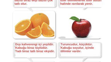 2. Sınıf İlke Yayınları Türkçe Ders Kitabı Sayfa 103 Cevapları