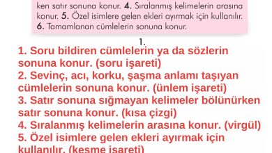 2. Sınıf İlke Yayınları Türkçe Ders Kitabı Sayfa 105 Cevapları