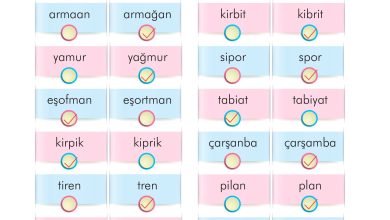 2. Sınıf İlke Yayınları Türkçe Ders Kitabı Sayfa 106 Cevapları