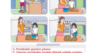 2. Sınıf İlke Yayınları Türkçe Ders Kitabı Sayfa 107 Cevapları