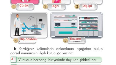 2. Sınıf İlke Yayınları Türkçe Ders Kitabı Sayfa 112 Cevapları