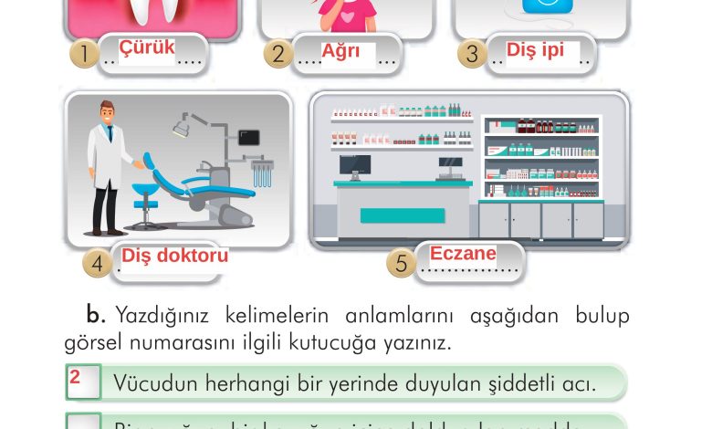 2. Sınıf İlke Yayınları Türkçe Ders Kitabı Sayfa 112 Cevapları