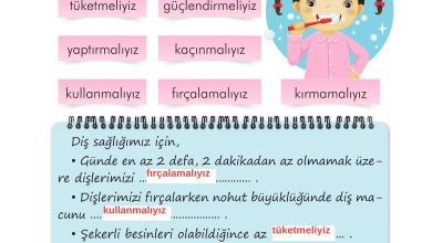 2. Sınıf İlke Yayınları Türkçe Ders Kitabı Sayfa 115 Cevapları