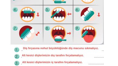 2. Sınıf İlke Yayınları Türkçe Ders Kitabı Sayfa 116 Cevapları