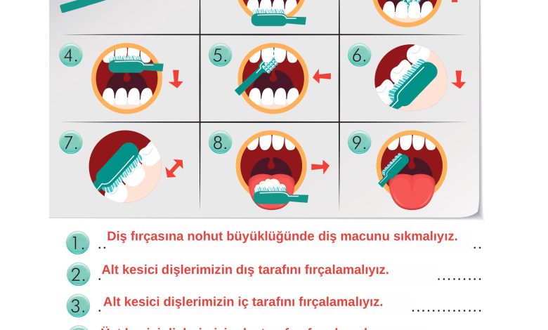 2. Sınıf İlke Yayınları Türkçe Ders Kitabı Sayfa 116 Cevapları