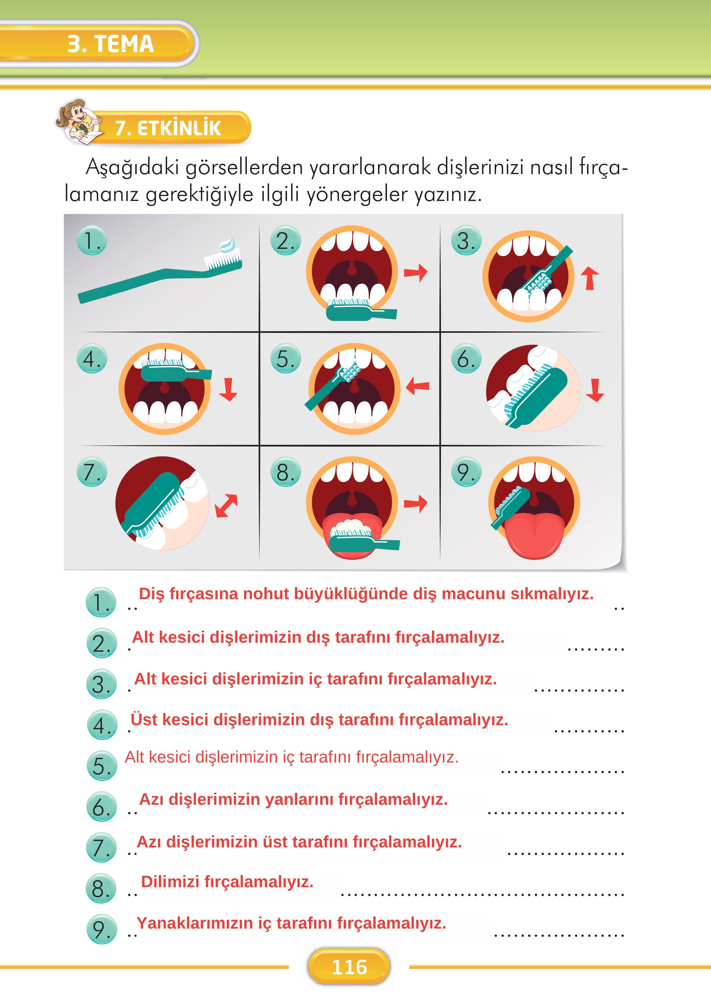 2. Sınıf İlke Yayınları Türkçe Ders Kitabı Sayfa 116 Cevapları