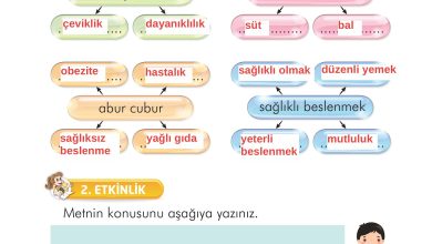 2. Sınıf İlke Yayınları Türkçe Ders Kitabı Sayfa 119 Cevapları