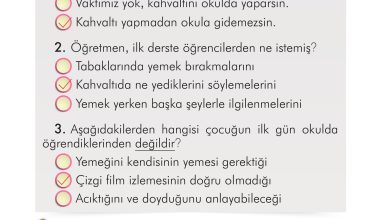 2. Sınıf İlke Yayınları Türkçe Ders Kitabı Sayfa 120 Cevapları