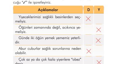 2. Sınıf İlke Yayınları Türkçe Ders Kitabı Sayfa 121 Cevapları