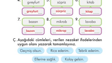 2. Sınıf İlke Yayınları Türkçe Ders Kitabı Sayfa 127 Cevapları