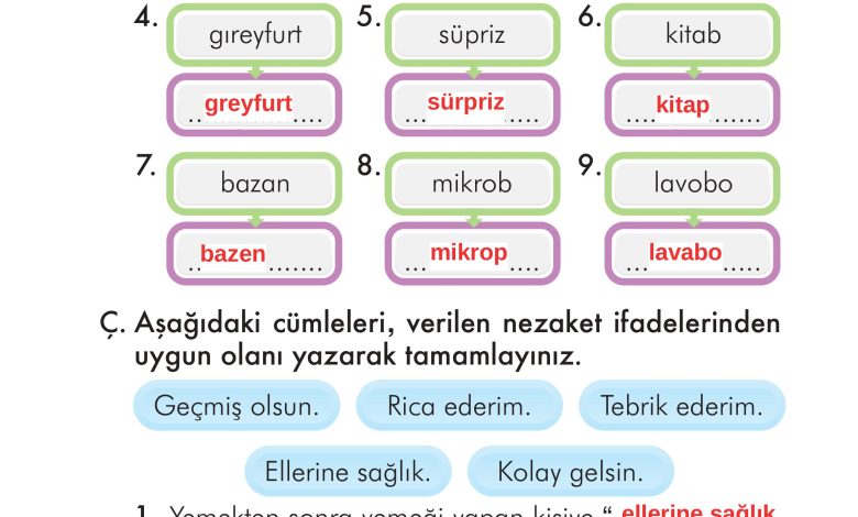 2. Sınıf İlke Yayınları Türkçe Ders Kitabı Sayfa 127 Cevapları