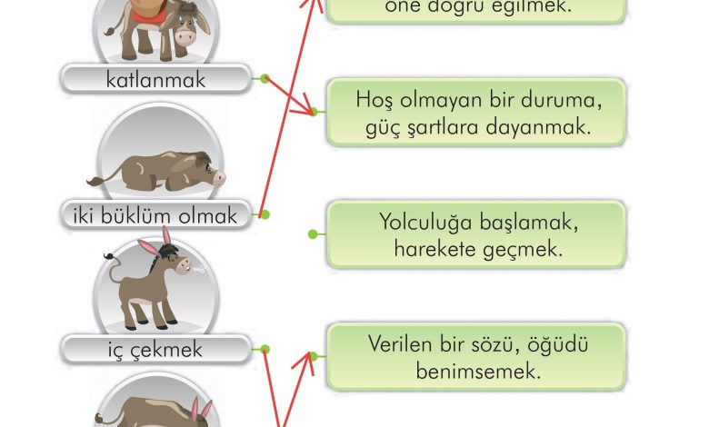 2. Sınıf İlke Yayınları Türkçe Ders Kitabı Sayfa 134 Cevapları