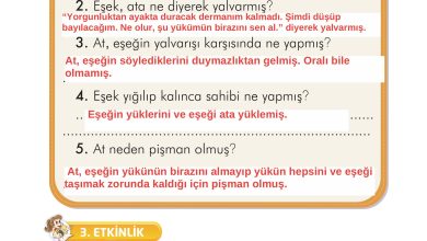 2. Sınıf İlke Yayınları Türkçe Ders Kitabı Sayfa 135 Cevapları