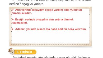 2. Sınıf İlke Yayınları Türkçe Ders Kitabı Sayfa 136 Cevapları