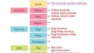 2. Sınıf İlke Yayınları Türkçe Ders Kitabı Sayfa 137 Cevapları