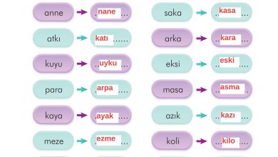 2. Sınıf İlke Yayınları Türkçe Ders Kitabı Sayfa 139 Cevapları