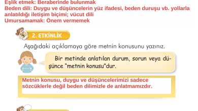 2. Sınıf İlke Yayınları Türkçe Ders Kitabı Sayfa 14 Cevapları