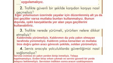 2. Sınıf İlke Yayınları Türkçe Ders Kitabı Sayfa 149 Cevapları