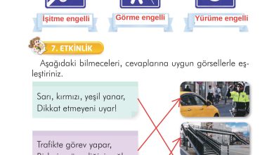 2. Sınıf İlke Yayınları Türkçe Ders Kitabı Sayfa 151 Cevapları