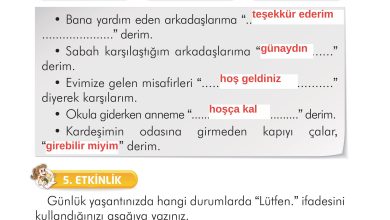 2. Sınıf İlke Yayınları Türkçe Ders Kitabı Sayfa 156 Cevapları