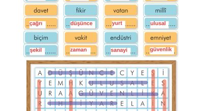 2. Sınıf İlke Yayınları Türkçe Ders Kitabı Sayfa 157 Cevapları