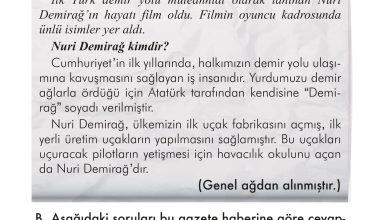 2. Sınıf İlke Yayınları Türkçe Ders Kitabı Sayfa 160 Cevapları