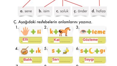 2. Sınıf İlke Yayınları Türkçe Ders Kitabı Sayfa 161 Cevapları