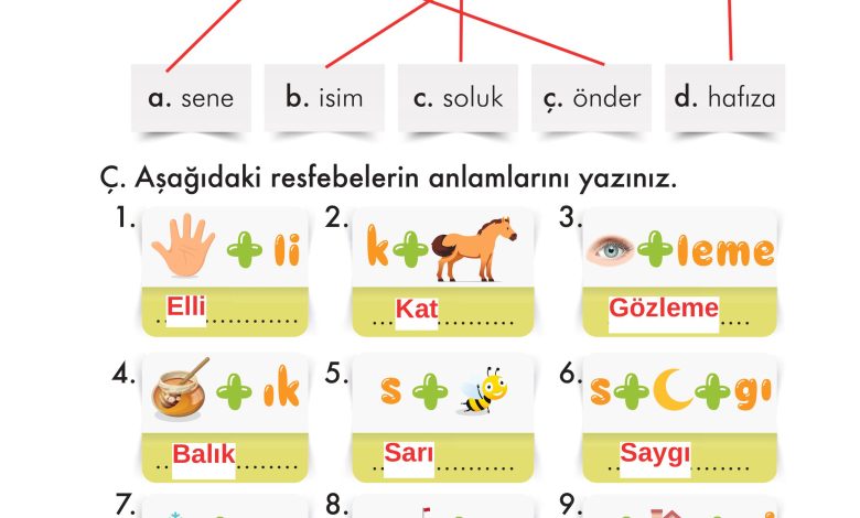 2. Sınıf İlke Yayınları Türkçe Ders Kitabı Sayfa 161 Cevapları