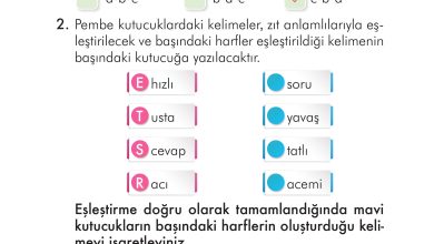 2. Sınıf İlke Yayınları Türkçe Ders Kitabı Sayfa 162 Cevapları