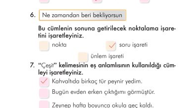 2. Sınıf İlke Yayınları Türkçe Ders Kitabı Sayfa 163 Cevapları