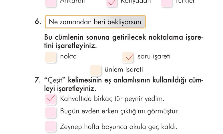 2. Sınıf İlke Yayınları Türkçe Ders Kitabı Sayfa 163 Cevapları