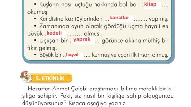 2. Sınıf İlke Yayınları Türkçe Ders Kitabı Sayfa 171 Cevapları